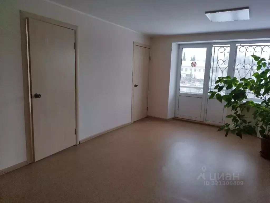 Помещение свободного назначения в Челябинская область, Златоуст ул. ... - Фото 1