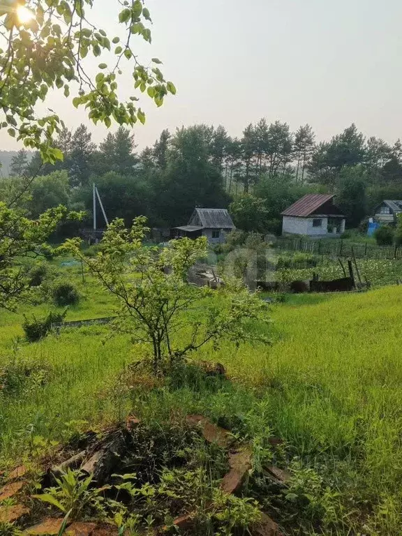 Участок в Амурская область, Благовещенск Энергетик СТ,  (9.0 сот.) - Фото 0