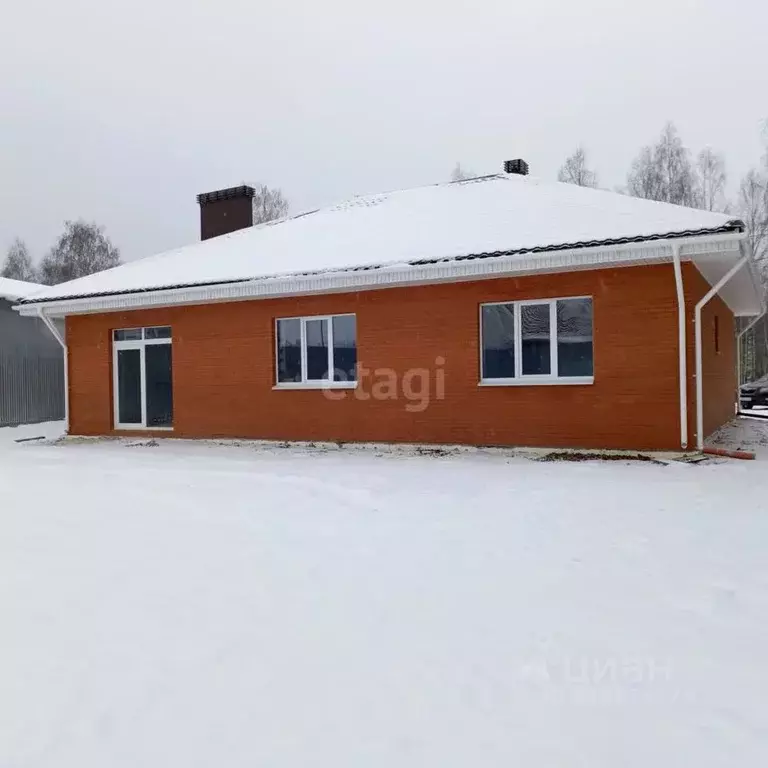 Дом в Нижегородская область, Выкса городской округ, с. Борковка, ... - Фото 0