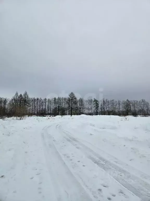 Участок в Тульская область, Веневский муниципальный округ, с. ... - Фото 1
