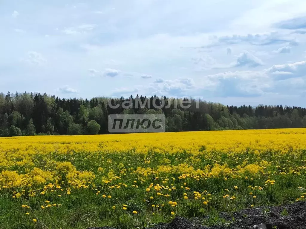 Участок в Ленинградская область, Тосненский район, Любанское городское ... - Фото 1