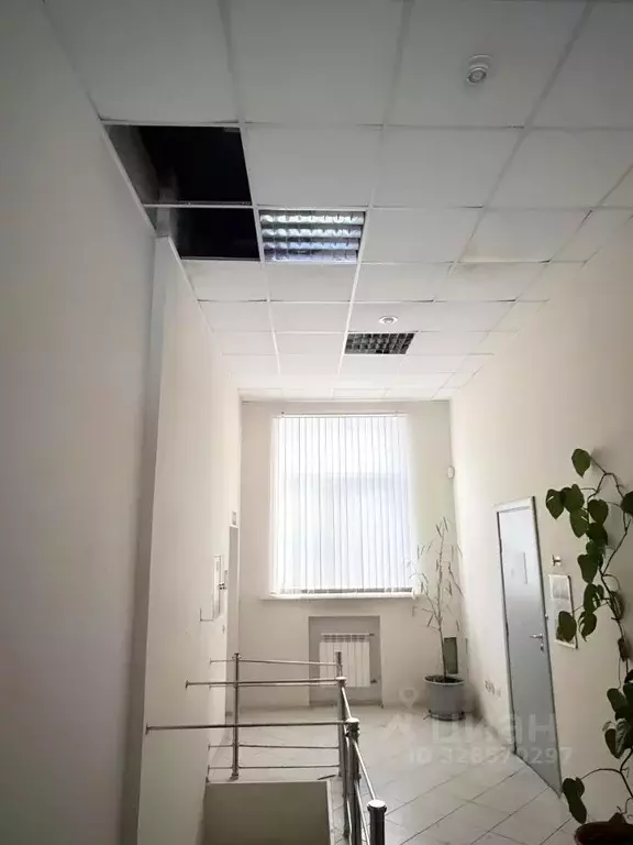 Офис в Волгоградская область, Волгоград ул. Мира, 26 (184 м) - Фото 1