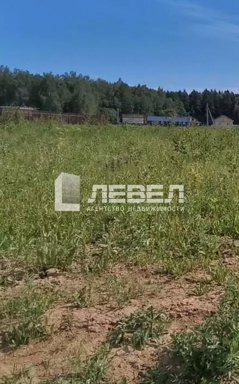 Участок в Московская область, Домодедово городской округ, д. Матчино  ... - Фото 1