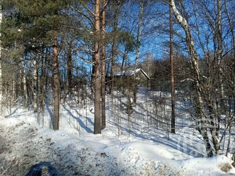Участок в Ленинградская область, Всеволожский район, Колтушское ... - Фото 2