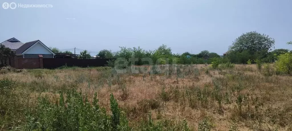 Участок в Неклиновский район, село Николаевка (15 м) - Фото 0