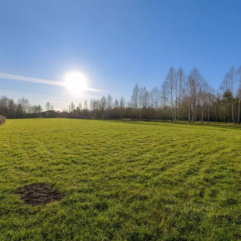 Участок в Московская область, Рузский муниципальный округ, д. Лобково ... - Фото 1