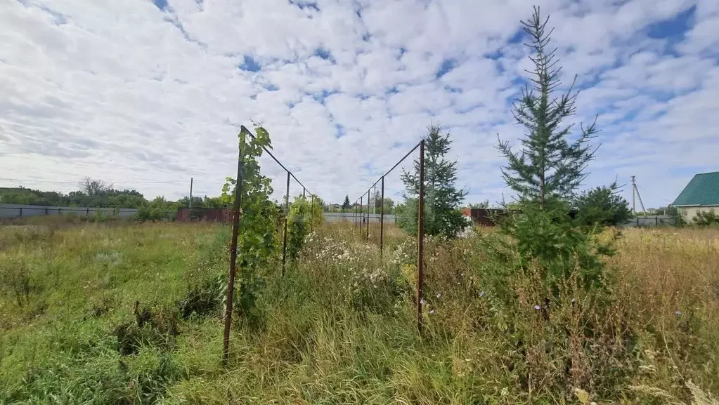Участок в Курская область, Горшеченский район, Куньевский сельсовет, ... - Фото 1