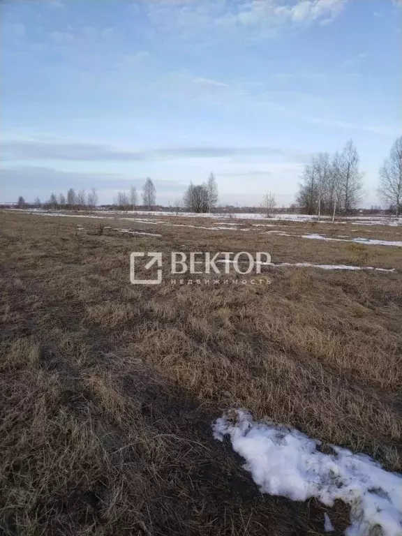 Участок в Ярославская область, Ярославский район, Заволжское с/пос, д. ... - Фото 1