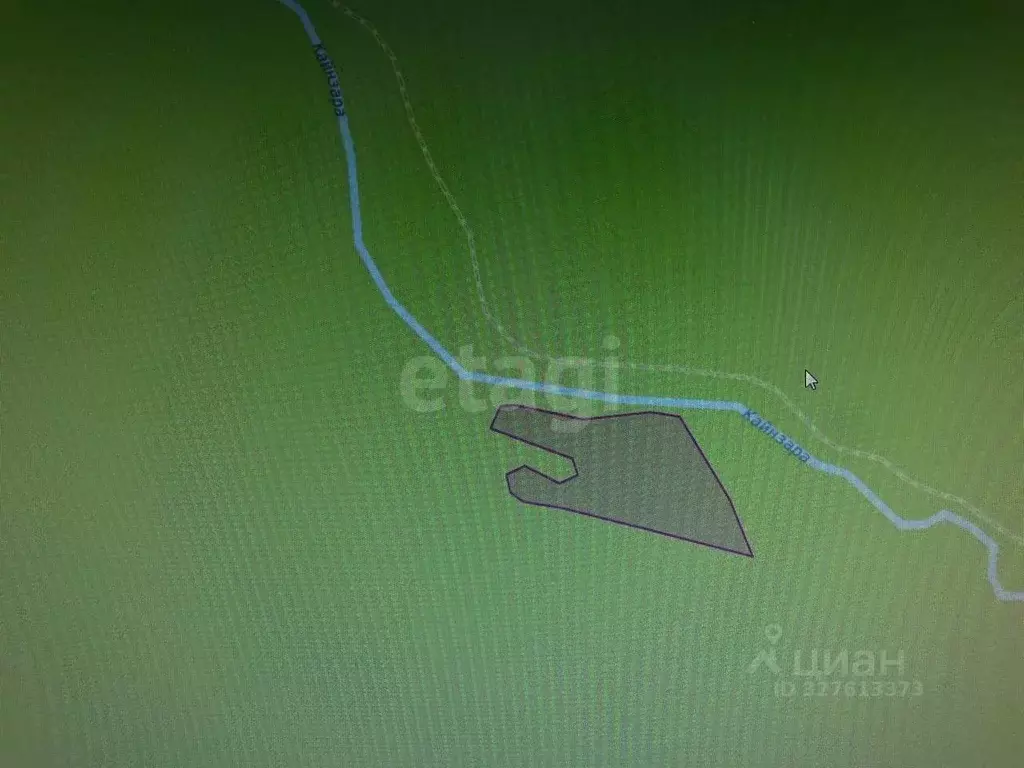 Участок в Алтай, Чемальский район, с. Эдиган  (247.1 сот.) - Фото 1