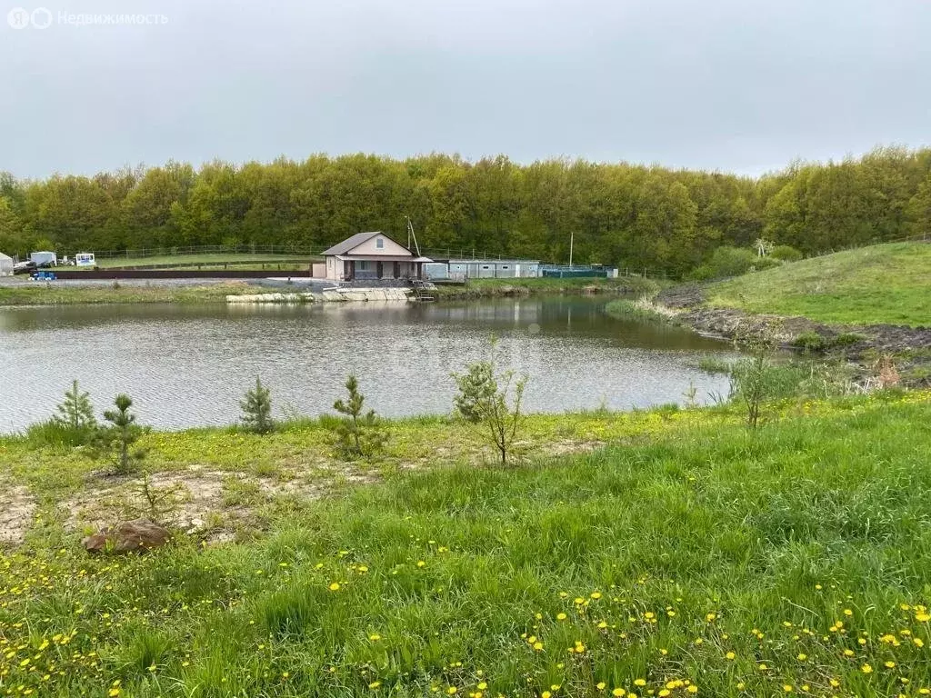 Дом в село Сузгарье, Нагорная улица (80 м) - Фото 1