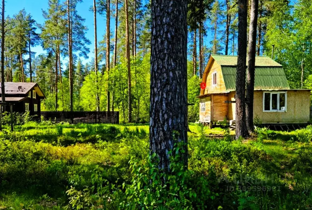 Дом в Ленинградская область, Гатчинский район, Вырица городской ... - Фото 1