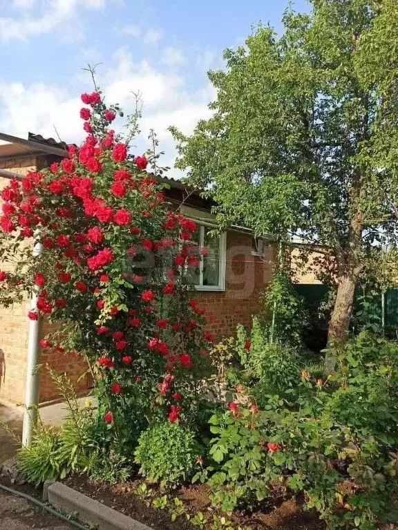Дом в Ростовская область, Азовский район, Задонское с/пос, Ельбузд ... - Фото 2
