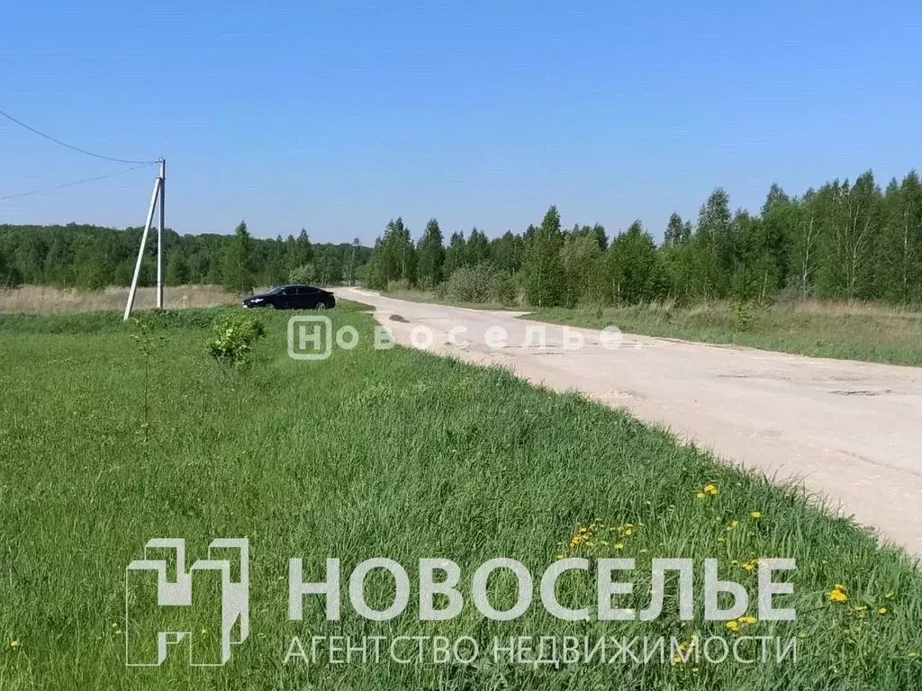 Участок в Рязанская область, Спасский район, Кирицкое с/пос, с. Сушки  ... - Фото 2