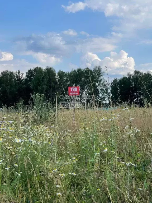 Участок в Московская область, Ступино городской округ, д. Шелково ул. ... - Фото 0