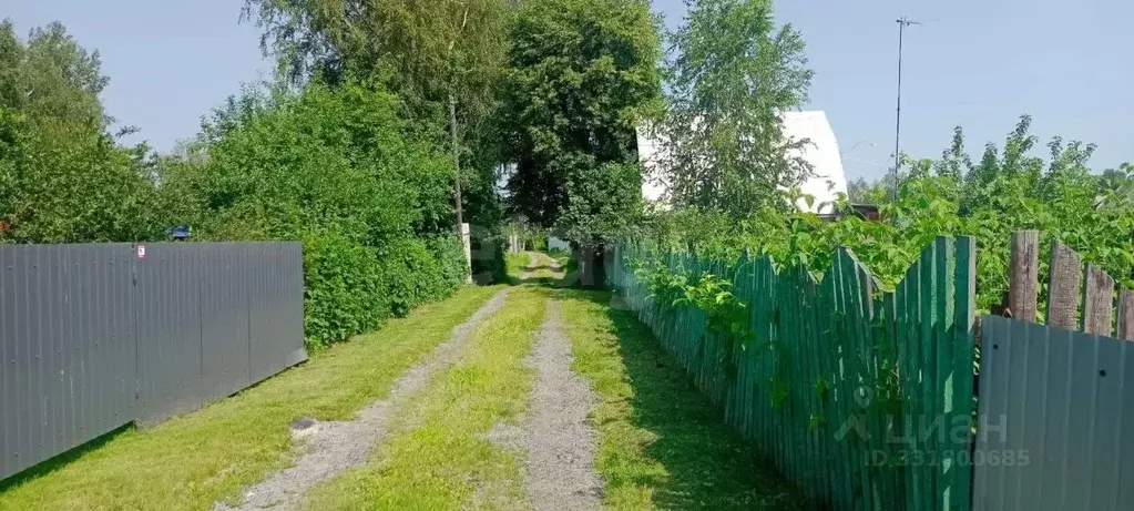 Дом в Тюменская область, Тюмень Пчелка СНТ, ул. Северная (55 м) - Фото 2