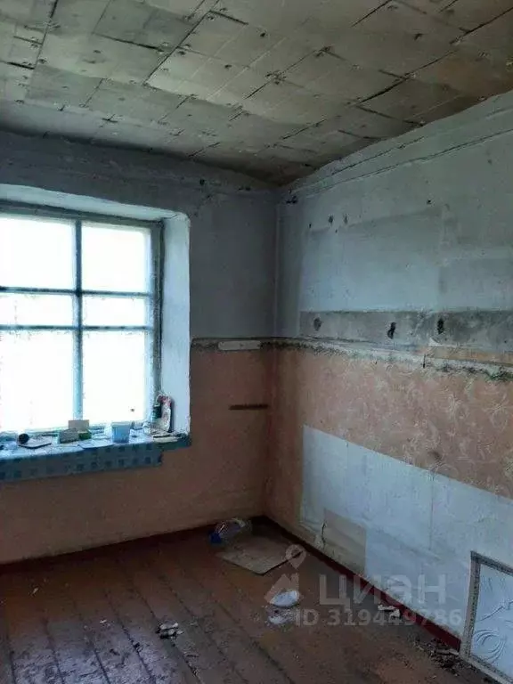 Помещение свободного назначения в Курганская область, Петуховский ... - Фото 1