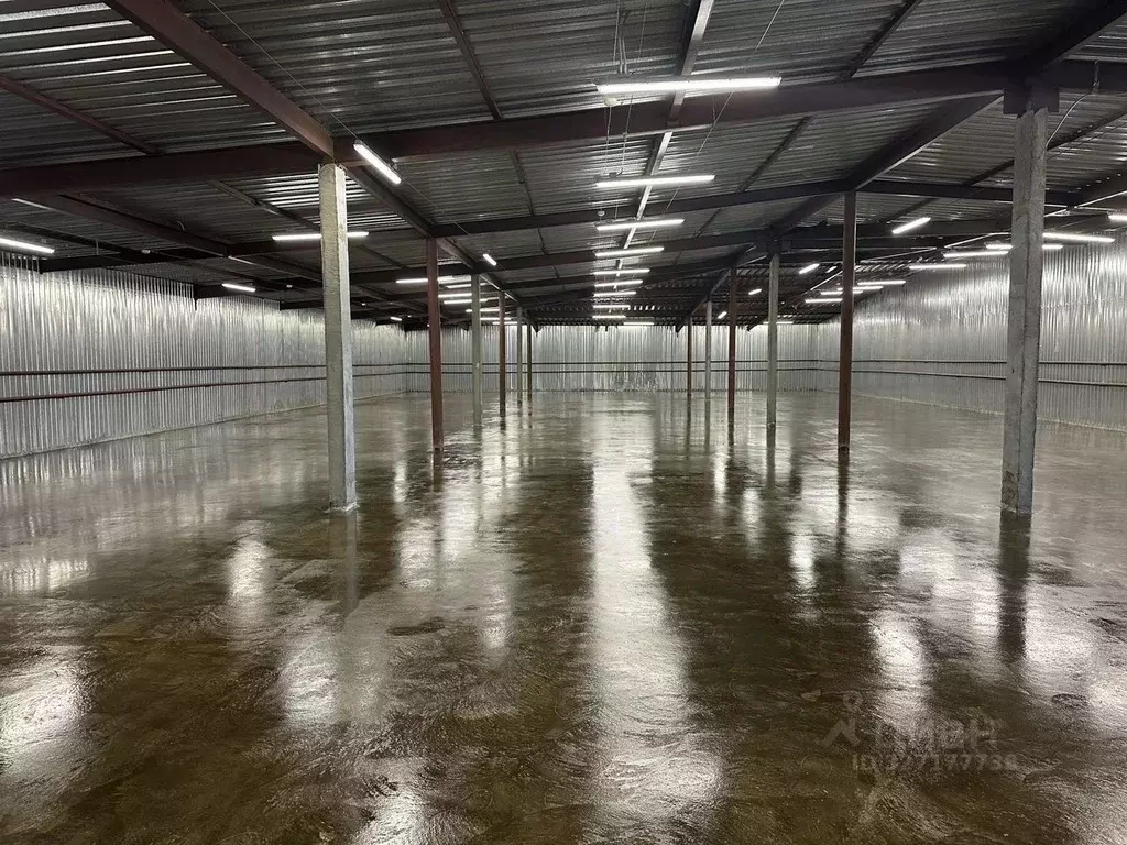 Склад в Московская область, Мытищи городской округ, д. Грибки 64Б (717 ... - Фото 1