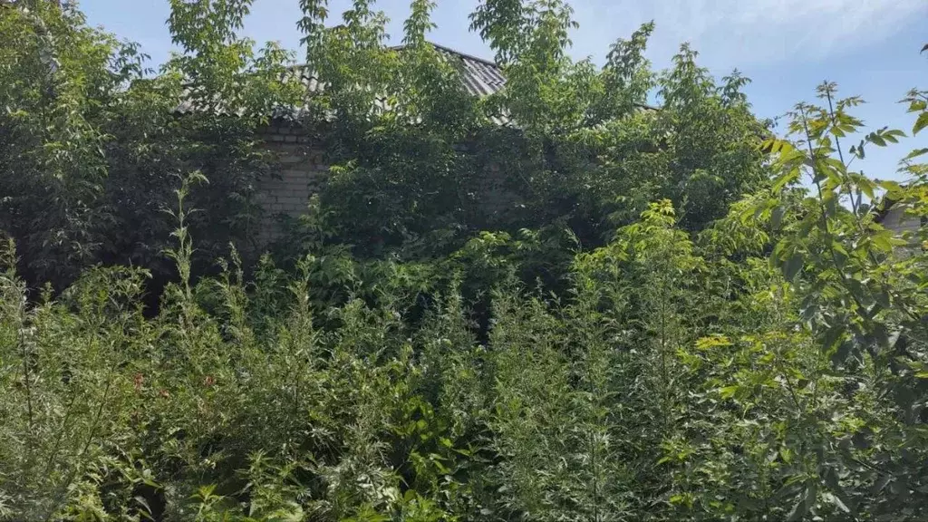 Помещение свободного назначения в Курганская область, Кетовский ... - Фото 1