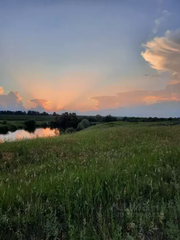 Участок в Пензенская область, Бессоновский район, с. Чертково ... - Фото 0