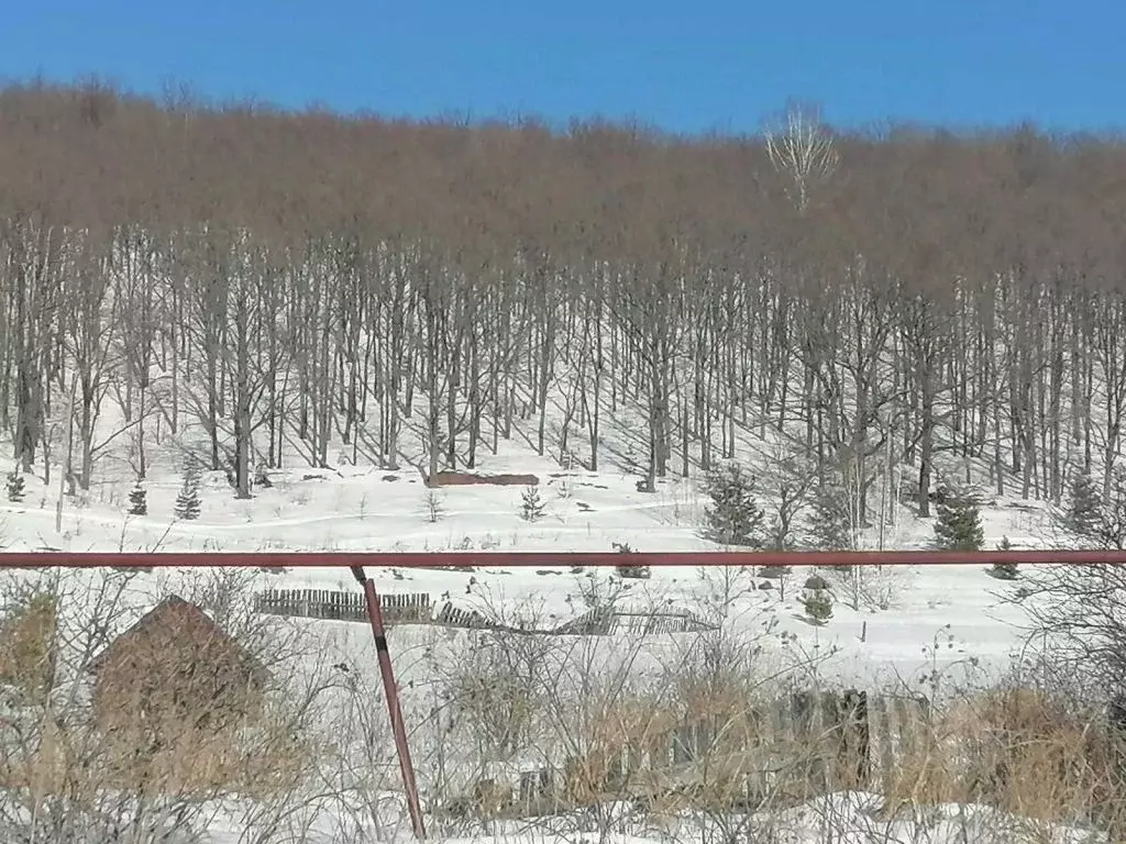 Участок в Пензенская область, Лунинский район, с. Большой Вьяс ... - Фото 0