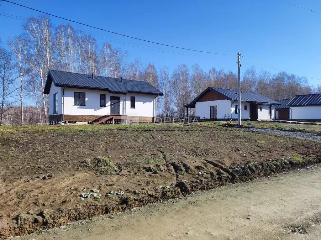 Участок в Новосибирская область, Новосибирский район, Раздольненский ... - Фото 2