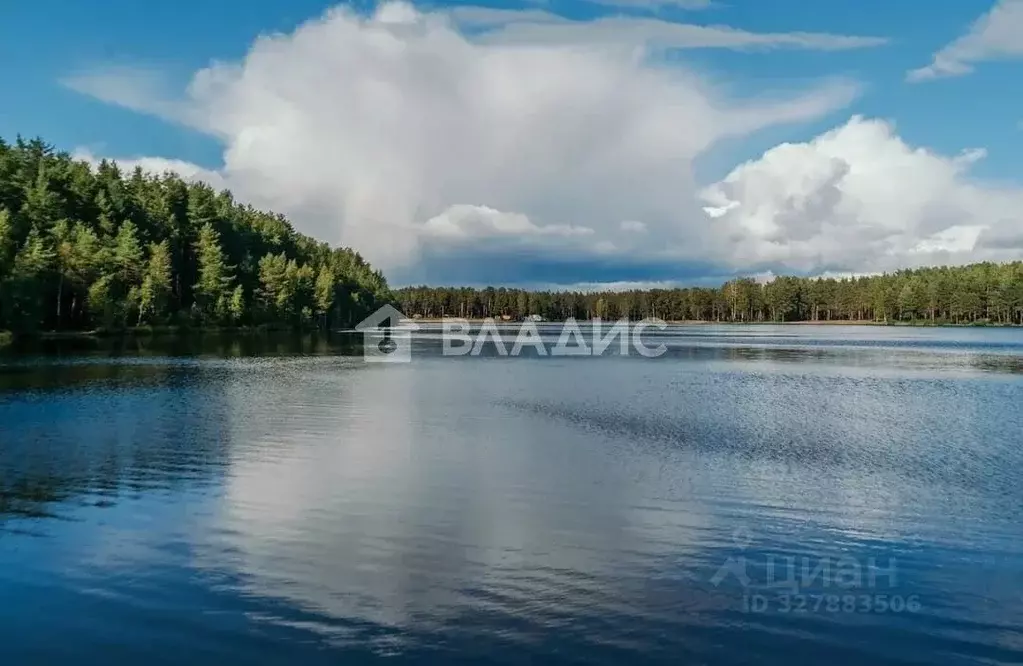 Участок в Ленинградская область, Всеволожский район, Колтушское ... - Фото 1