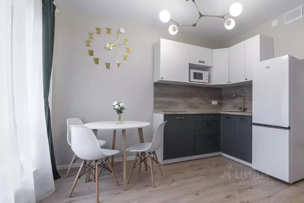 1-к кв. Ленинградская область, Всеволожский район, д. Новое Девяткино ... - Фото 2