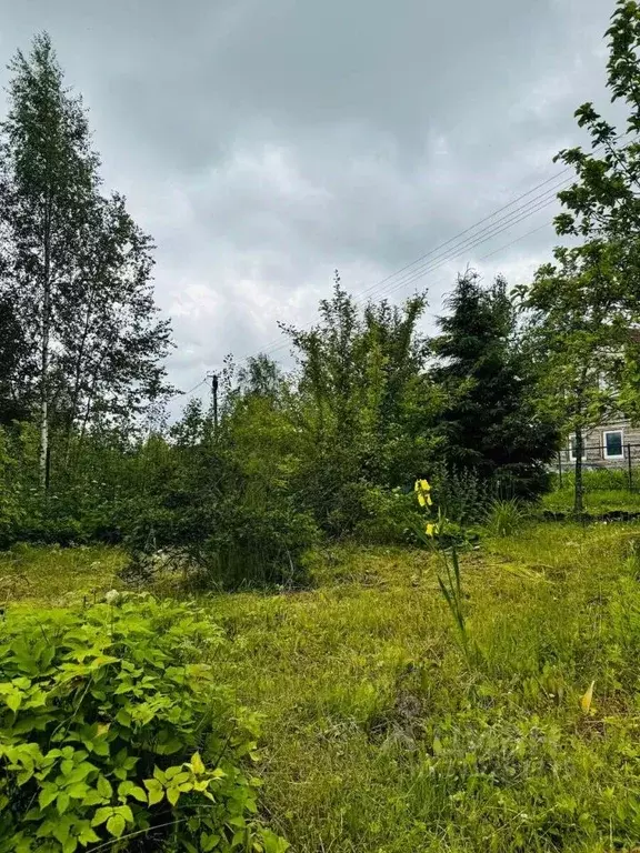 Участок в Ленинградская область, Ломоносовский район, Виллозское ... - Фото 1