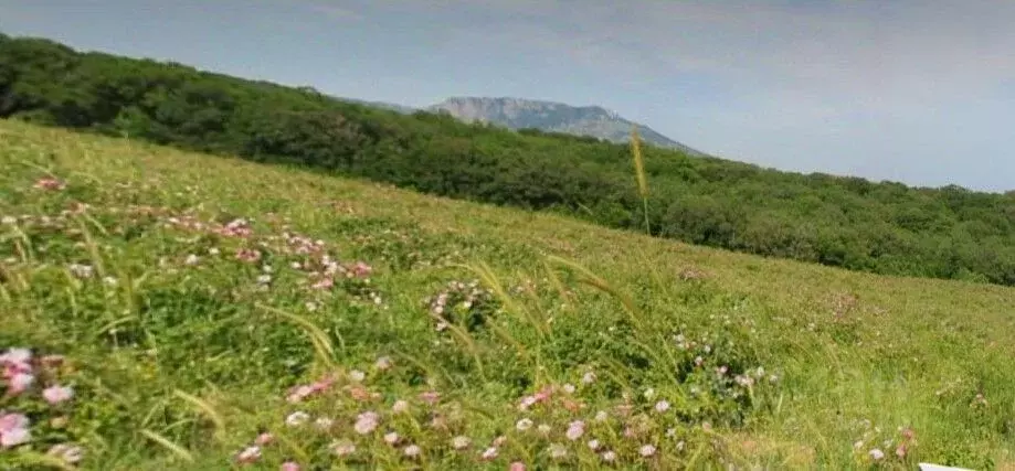 Участок в Крым, Алушта муниципальный округ, пос. Розовый ул. Мирная, ... - Фото 2