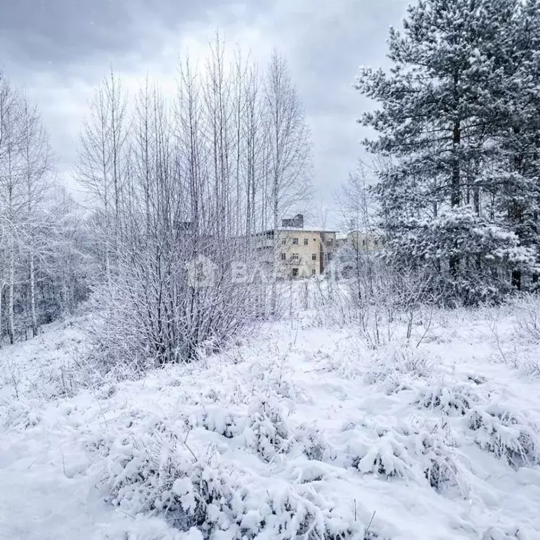Участок в Ленинградская область, Всеволожский район, Бугровское ... - Фото 2