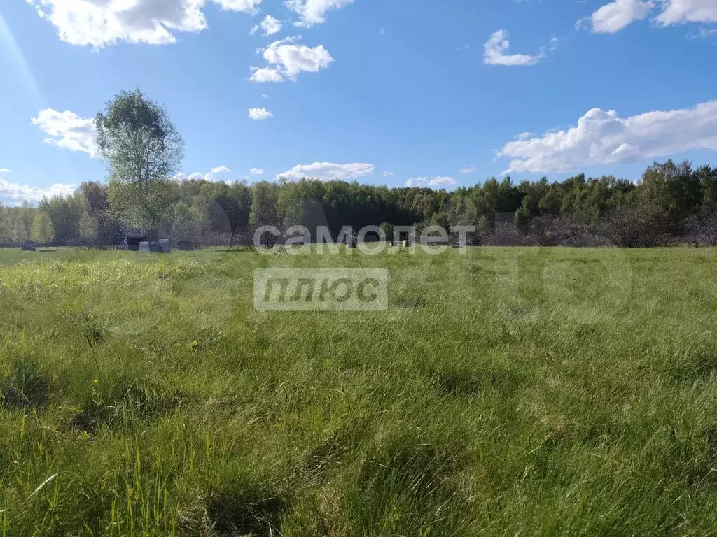 Участок 3,18 га (СНТ, ДНП) - Фото 0