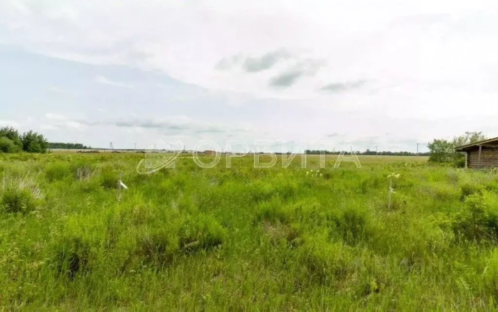 Участок в Тюменская область, Тюмень ул. Олега Антонова (6.0 сот.) - Фото 2