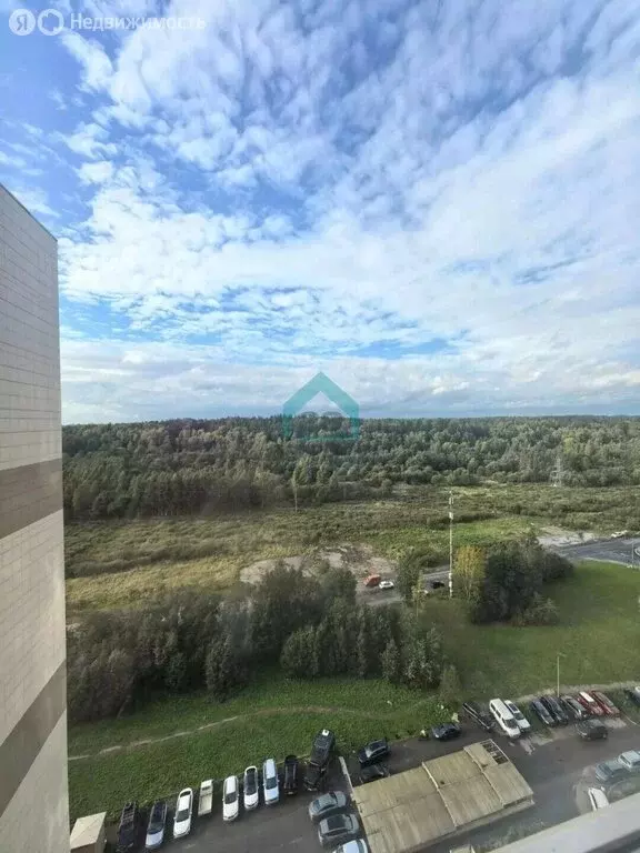 2-комнатная квартира: посёлок Парголово, Заречная улица, 13к4 (54.54 ... - Фото 2