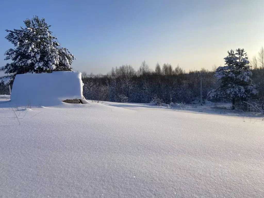 Участок в Вологодская область, Череповецкий район, д. Карельская Мушня ... - Фото 1