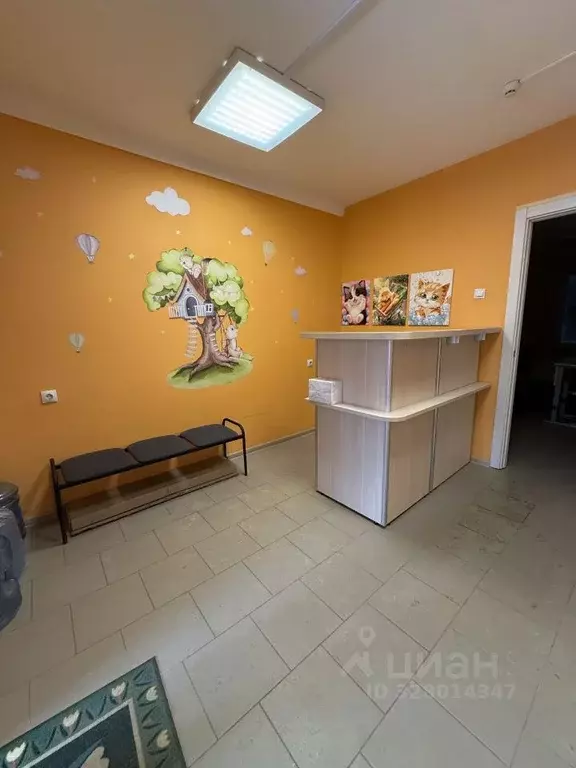 Помещение свободного назначения в Воронежская область, Воронеж ул. ... - Фото 1