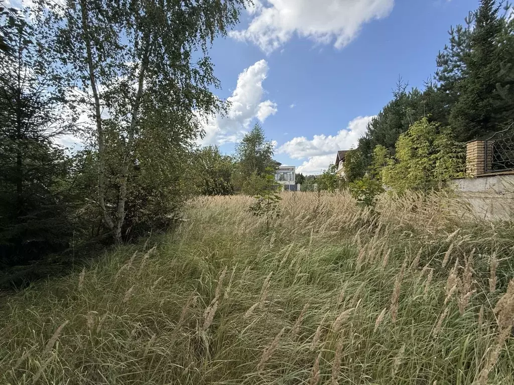 Участок в Московская область, Мытищи городской округ, д. Степаньково, ... - Фото 1