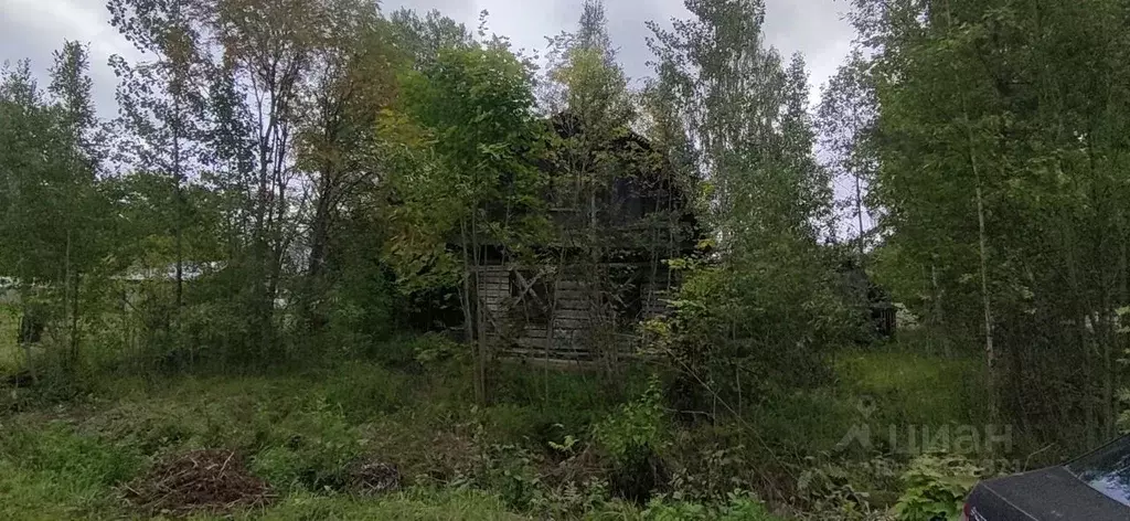 Дом в Ленинградская область, Лужский район, Мшинское с/пос, Мшинская . - Фото 1