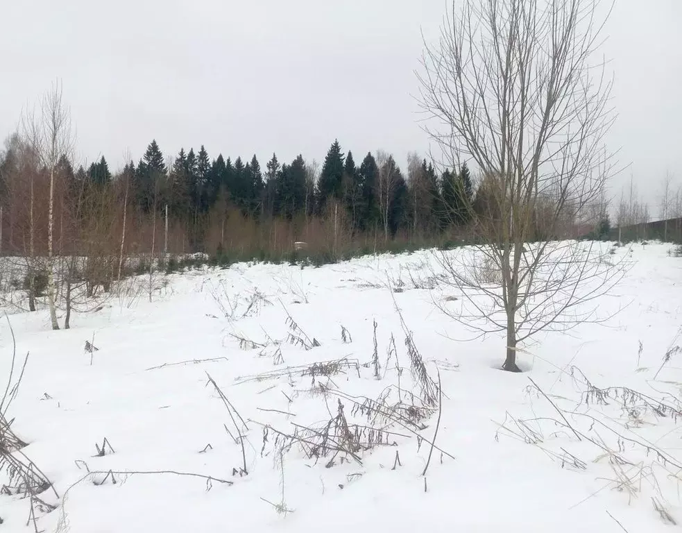 Участок в Московская область, Сергиево-Посадский городской округ, ... - Фото 1