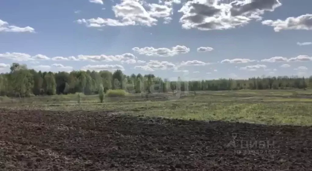 Участок в Брянская область, Почепский район, Дмитровское с/пос, пос. ... - Фото 1