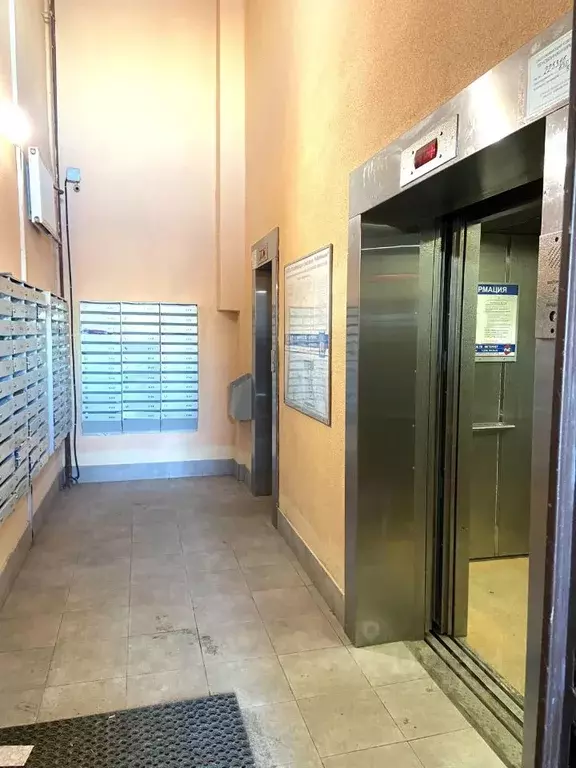 Студия Ленинградская область, Мурино Всеволожский район, бул. ... - Фото 2