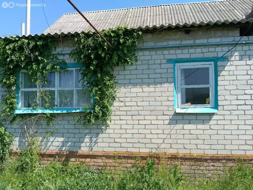 Дом в Белгородская область, Грайворонский муниципальный округ, село ... - Фото 1