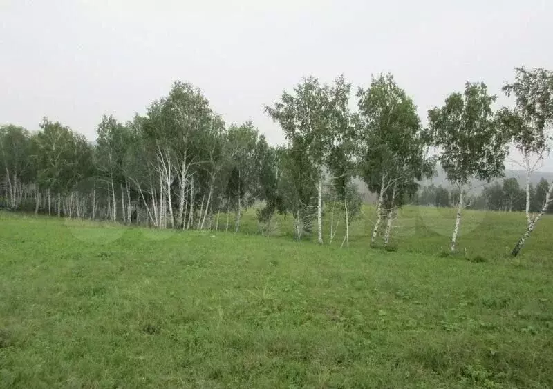 Участок 4,32 га (СНТ, ДНП) - Фото 1