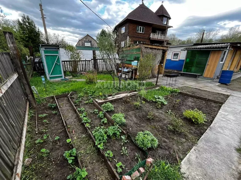 Участок в Новосибирская область, Новосибирский район, Барышевский ... - Фото 1