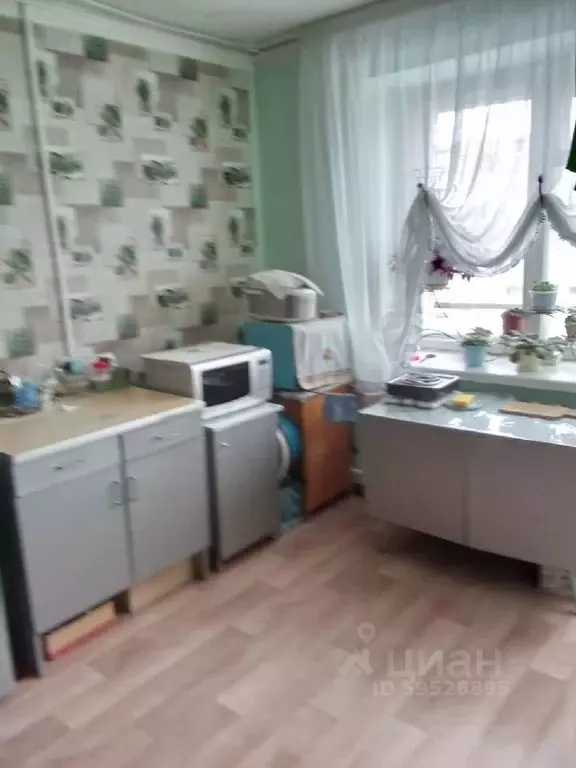 Комната Алтайский край, Барнаул ул. 80-й Гвардейской Дивизии, 2/2 - Фото 0