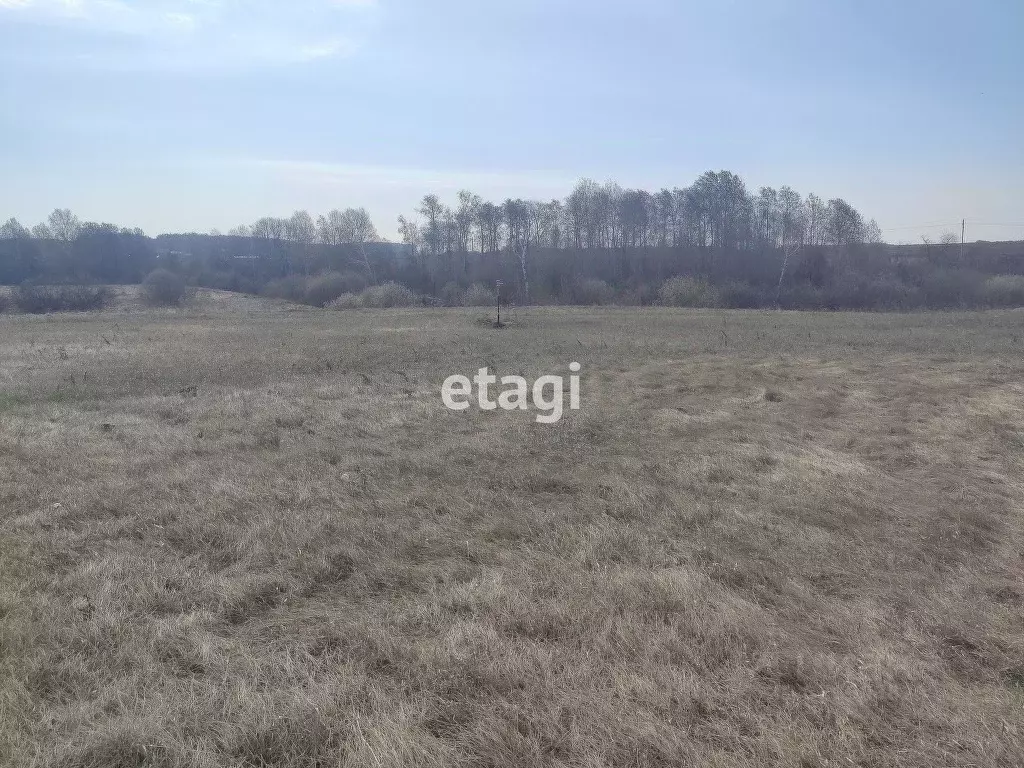 Участок в Тюменская область, Тюменский муниципальный округ, ... - Фото 1