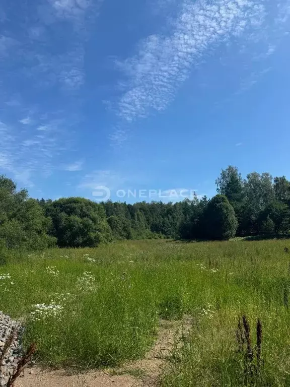 Участок в Ленинградская область, Приозерский район, Мельниковское ... - Фото 1