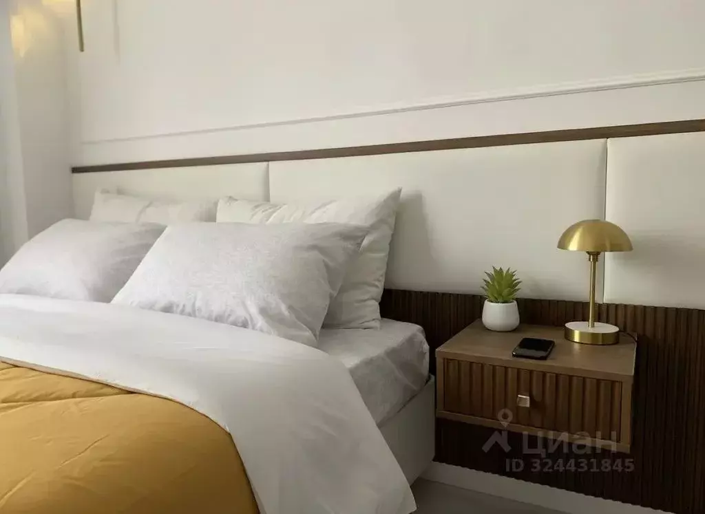 Студия Московская область, Жуковский ул. Гагарина, 3а (21.0 м) - Фото 1