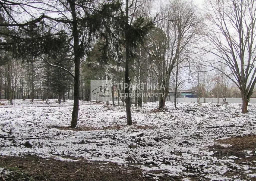 Продается участок в г. Дедовск - Фото 2