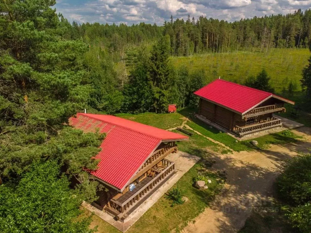 Комната Новгородская область, Валдайский район, Рощинское с/пос, д. ... - Фото 1