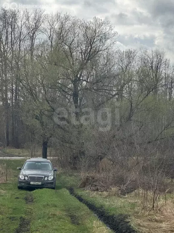 Участок в Донской, микрорайон Северо-Задонск (1204 м) - Фото 2